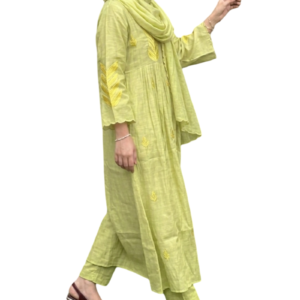 light olive green. anarkali style suit